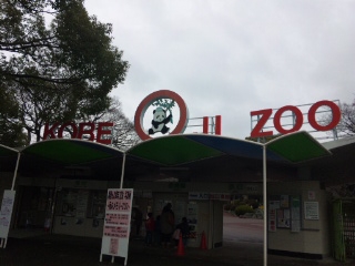 2011.2王子動物園.JPG