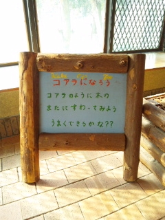 2011.2王子動物園コアラ.JPG